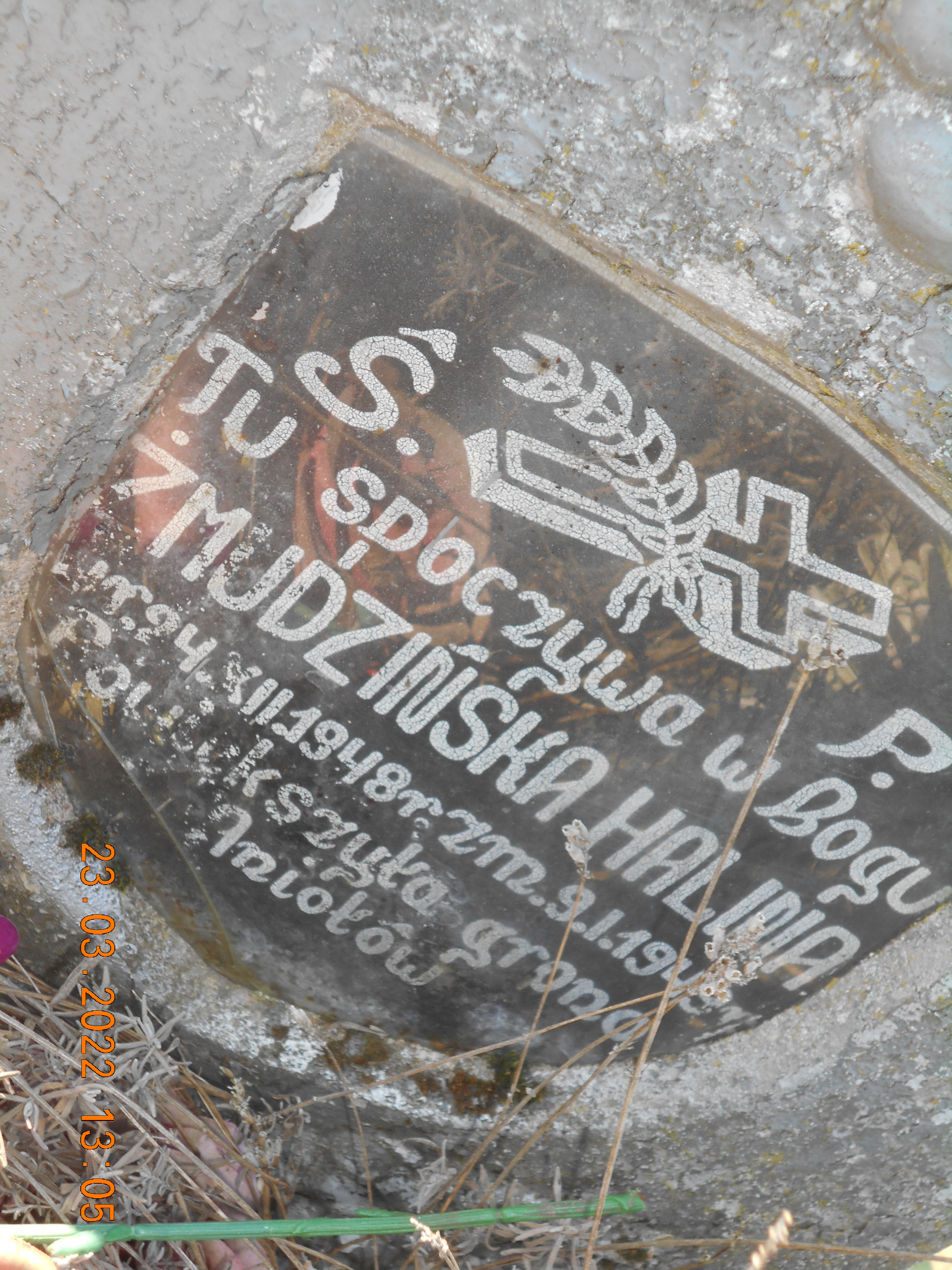 Halina Żmudzińska 1948 Pełczyce - Grobonet - Wyszukiwarka osób pochowanych