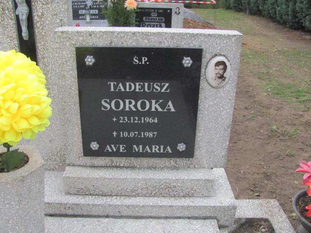 Tadeusz Soroka 1964 Pełczyce - Grobonet - Wyszukiwarka osób pochowanych