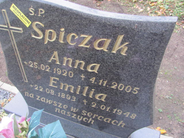 Anna Spiczak 1920 Pełczyce - Grobonet - Wyszukiwarka osób pochowanych