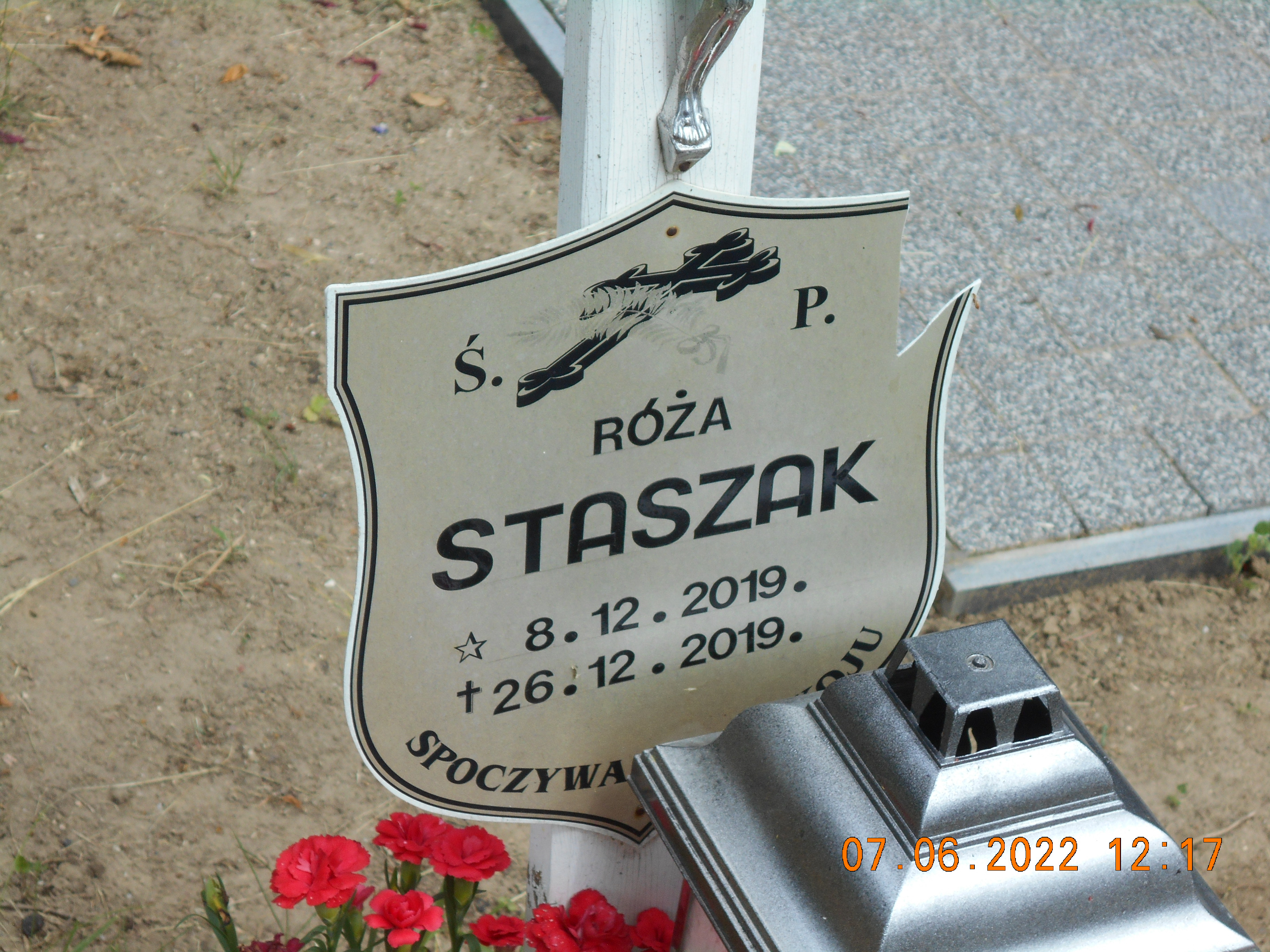 Róża Staszak 2019 Pełczyce - Grobonet - Wyszukiwarka osób pochowanych