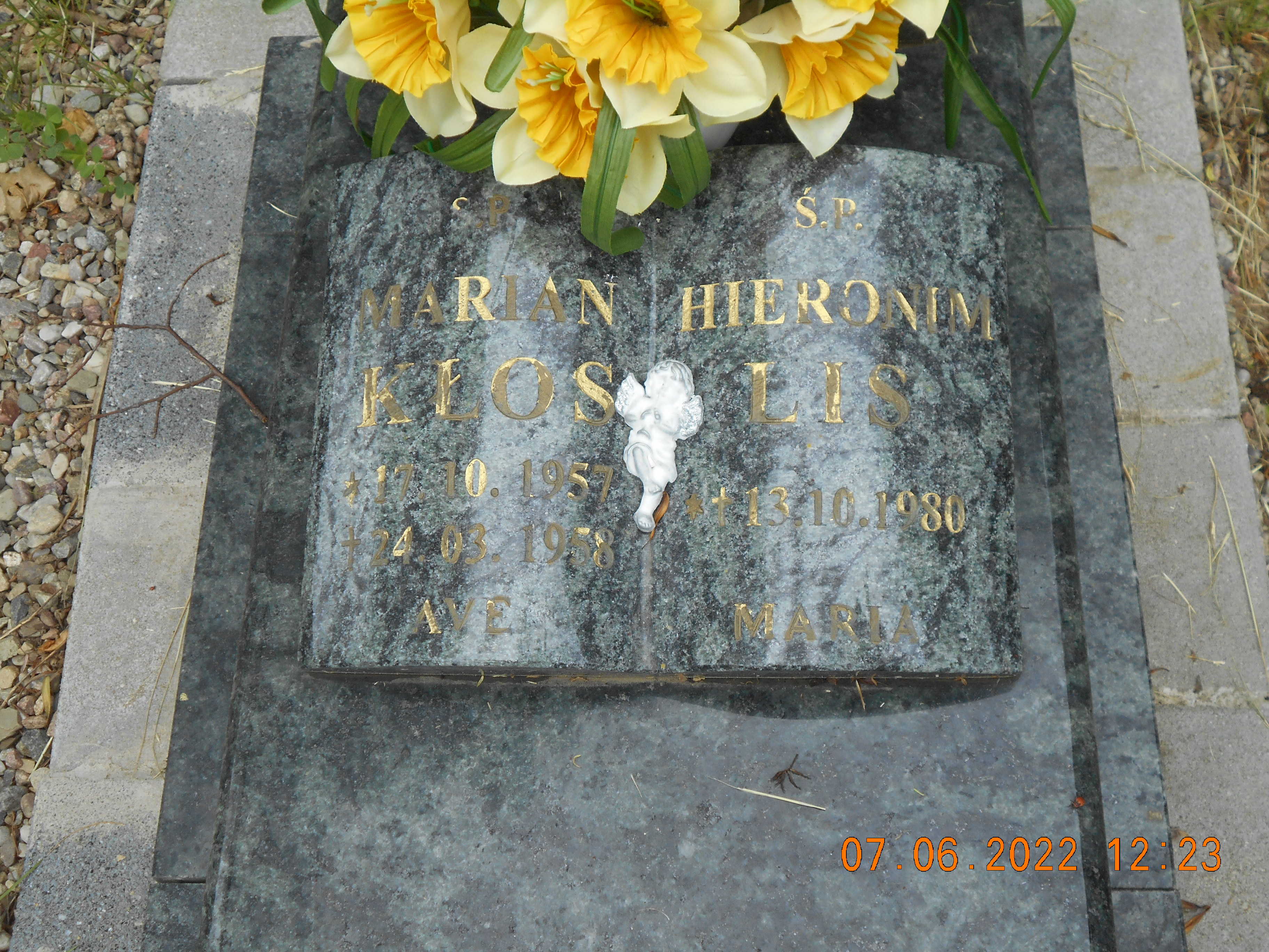 Halina Ogińska 1946 Pełczyce - Grobonet - Wyszukiwarka osób pochowanych