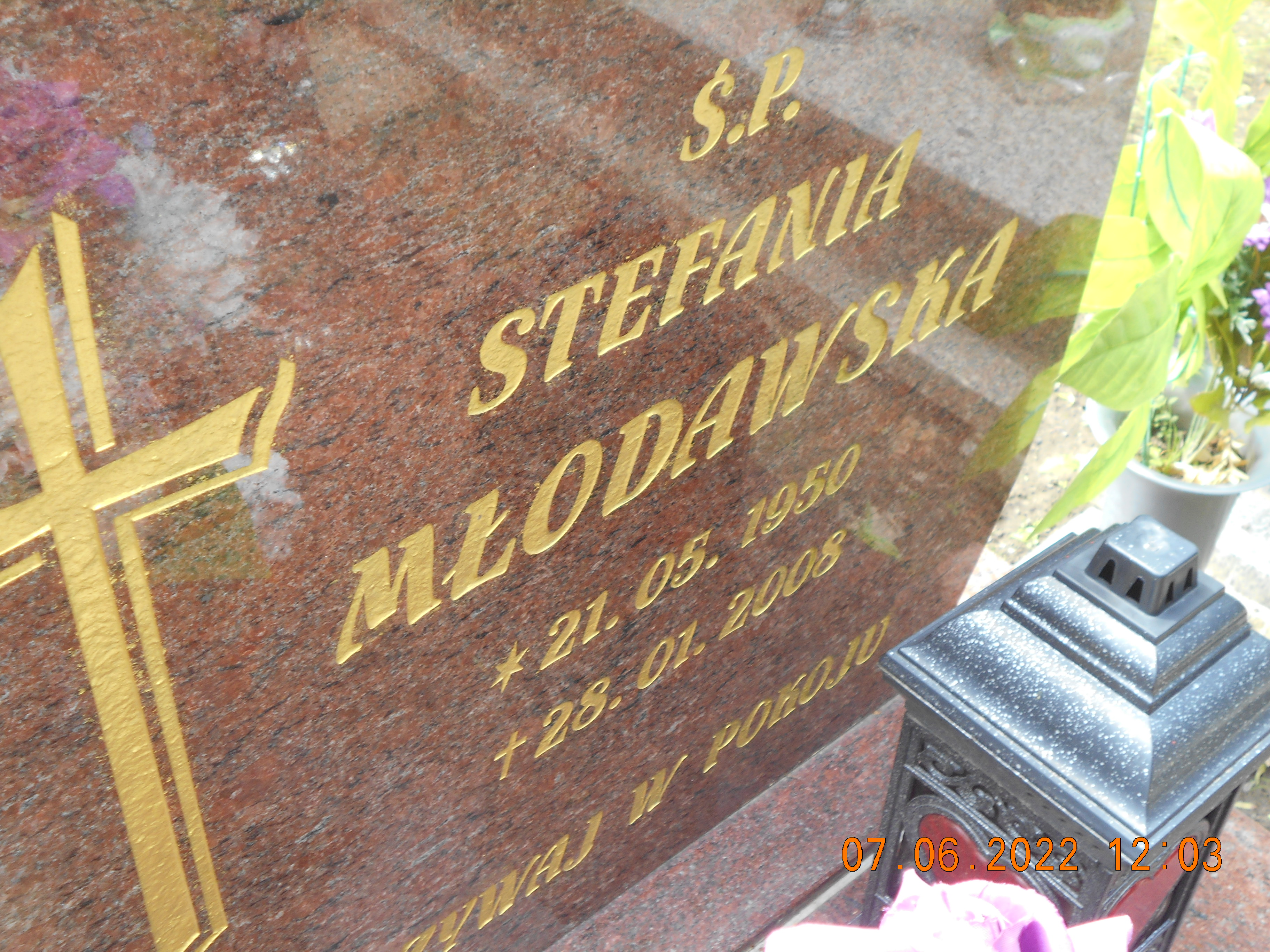 Alicja Lech 1982 Pełczyce - Grobonet - Wyszukiwarka osób pochowanych