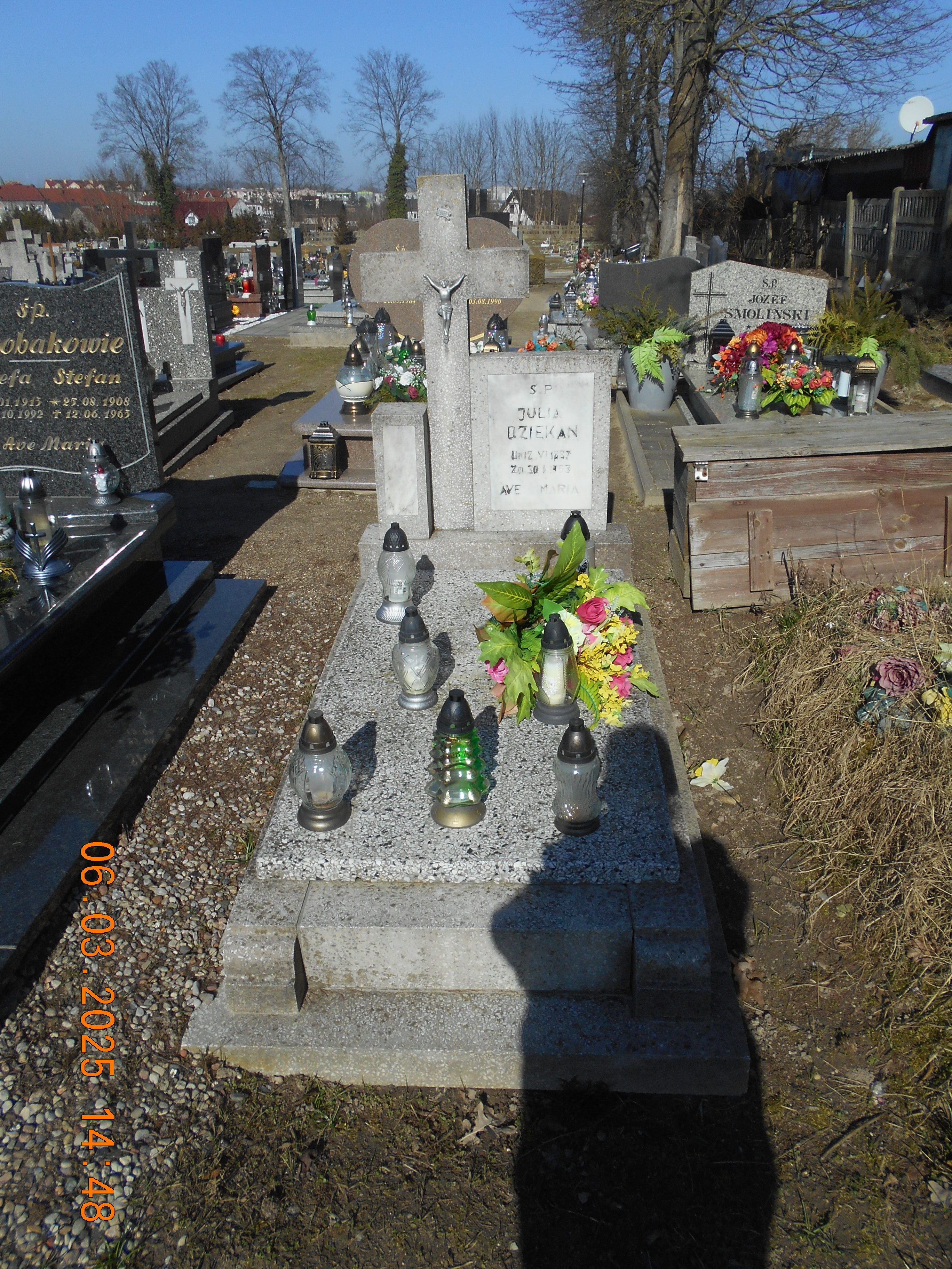 Julia Dziekan  1887 Pełczyce - Grobonet - Wyszukiwarka osób pochowanych