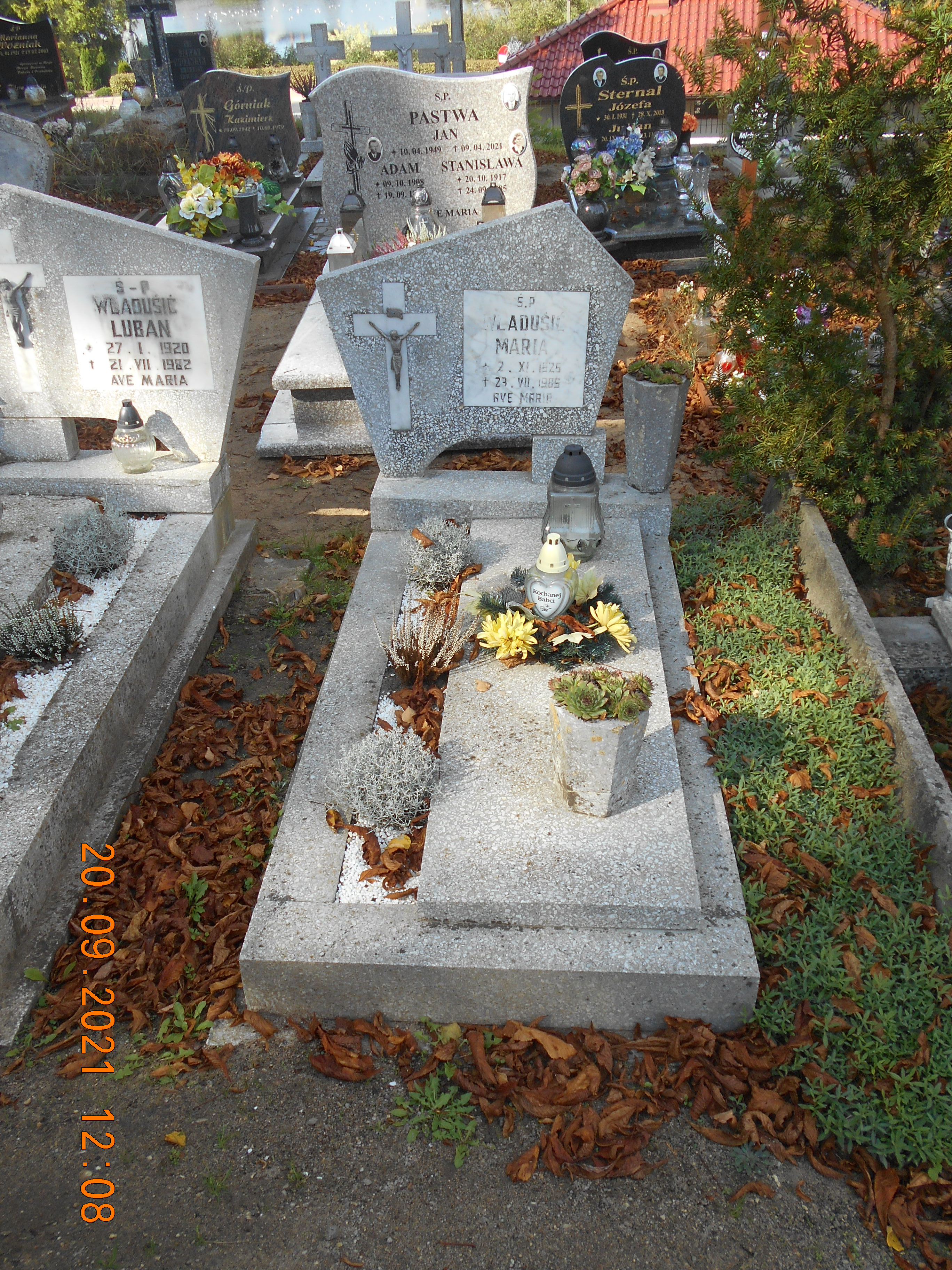 Grób Maria Wladusić